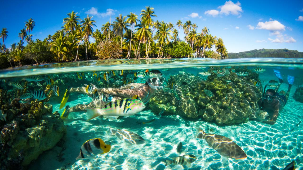 MS PANORAMA II VARIETY CRUISES VELERO ISLAS SOCIEDAD VELERO BORA BORA CRUCEROS TAHITI